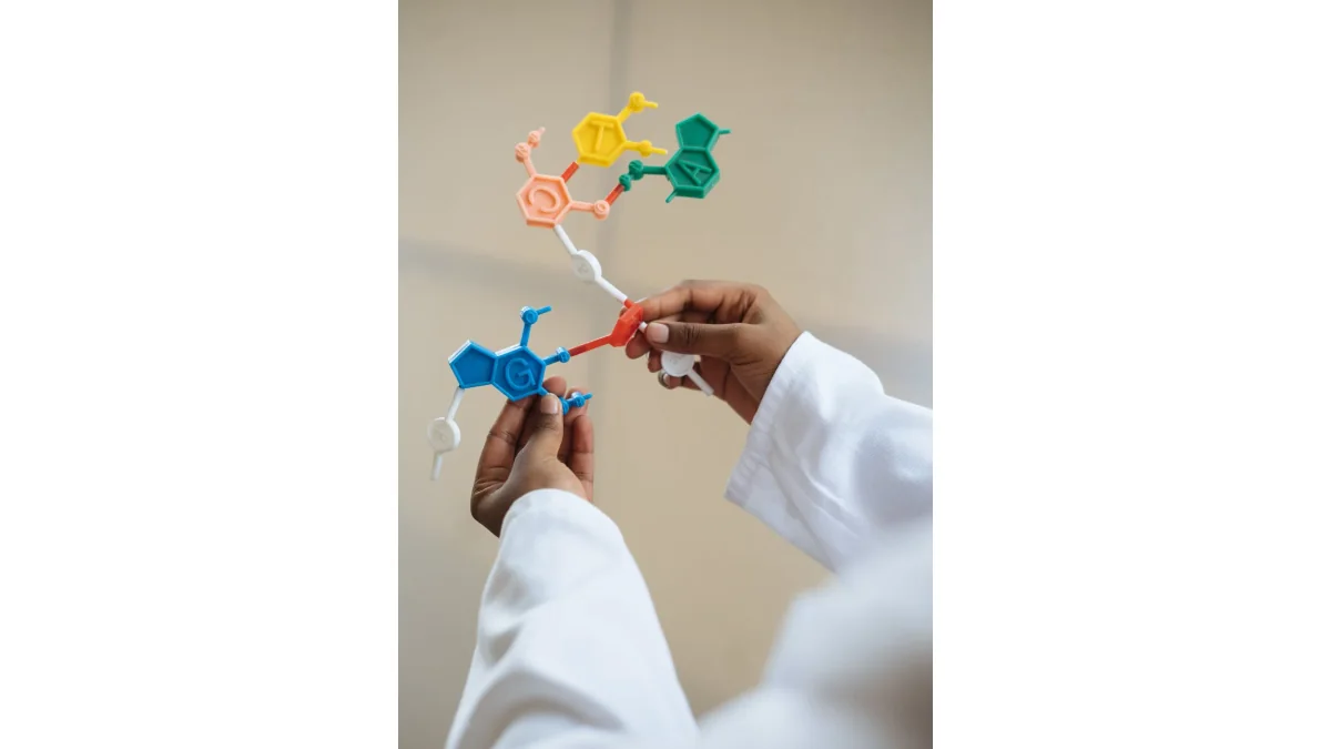 Hands holding a coloured molecular teaching model